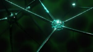 Neuroplastizität