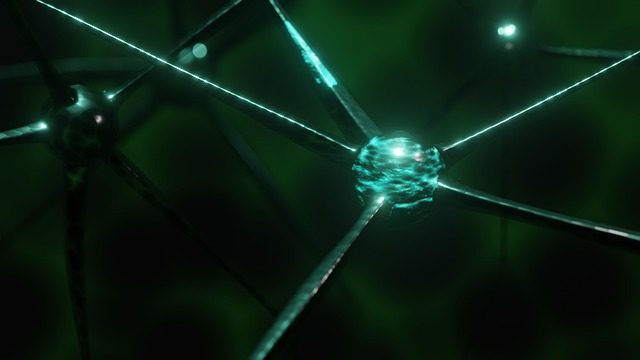 Neuroplastizität
